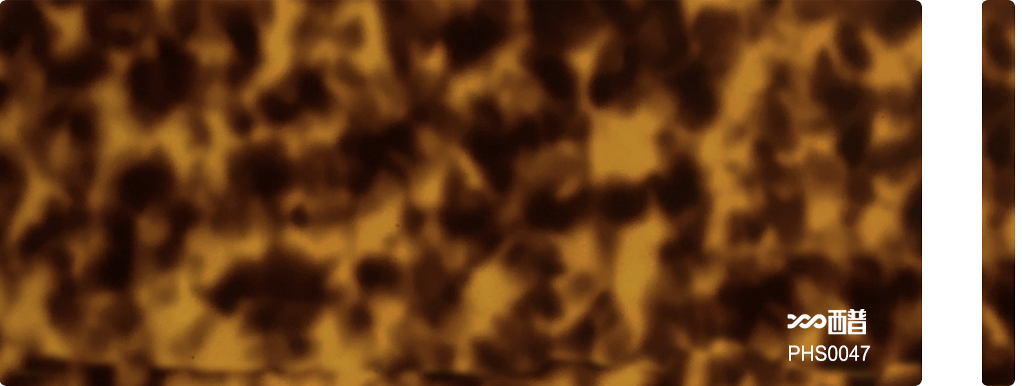 PHS0047