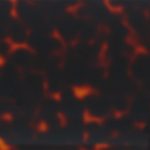 PHS0049