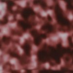 PHS0055