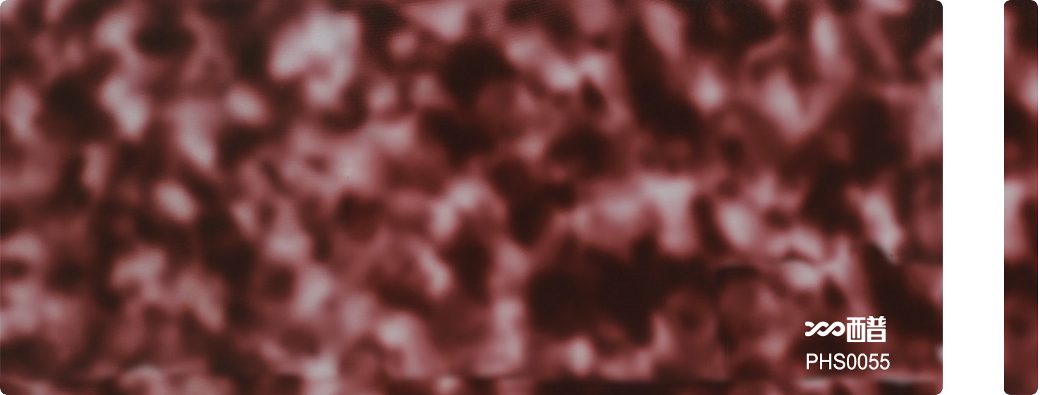 PHS0055