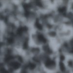 PHS0058