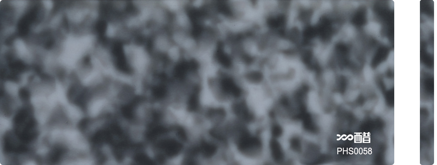 PHS0058