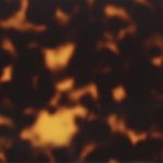 PHS0063