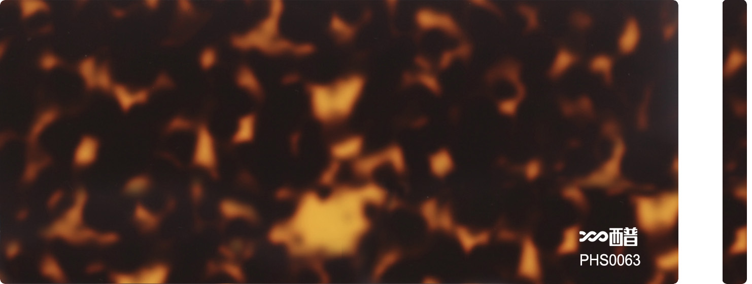 PHS0063