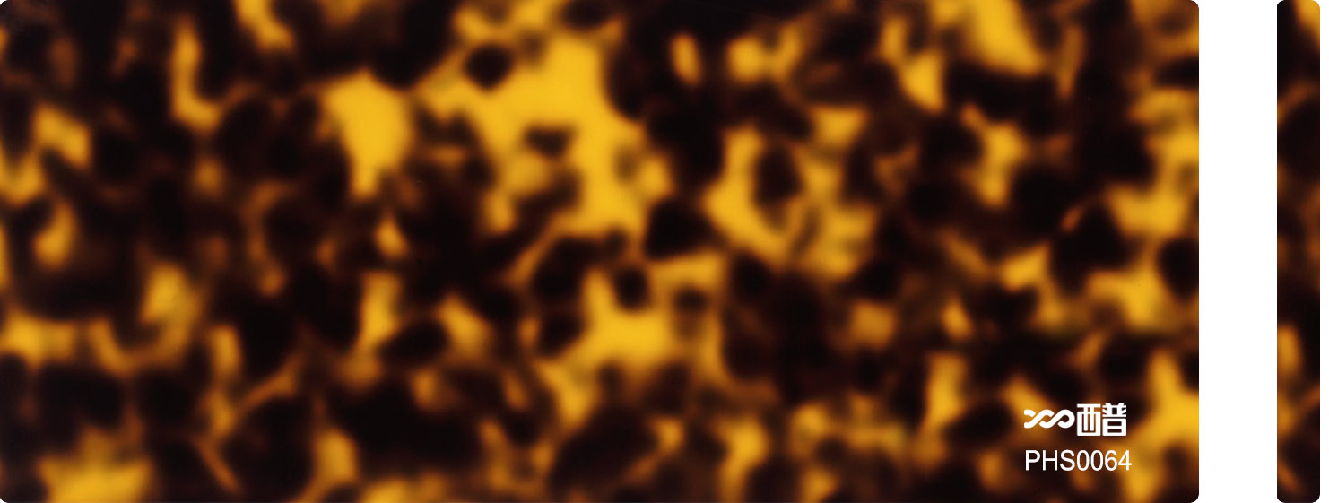 PHS0064
