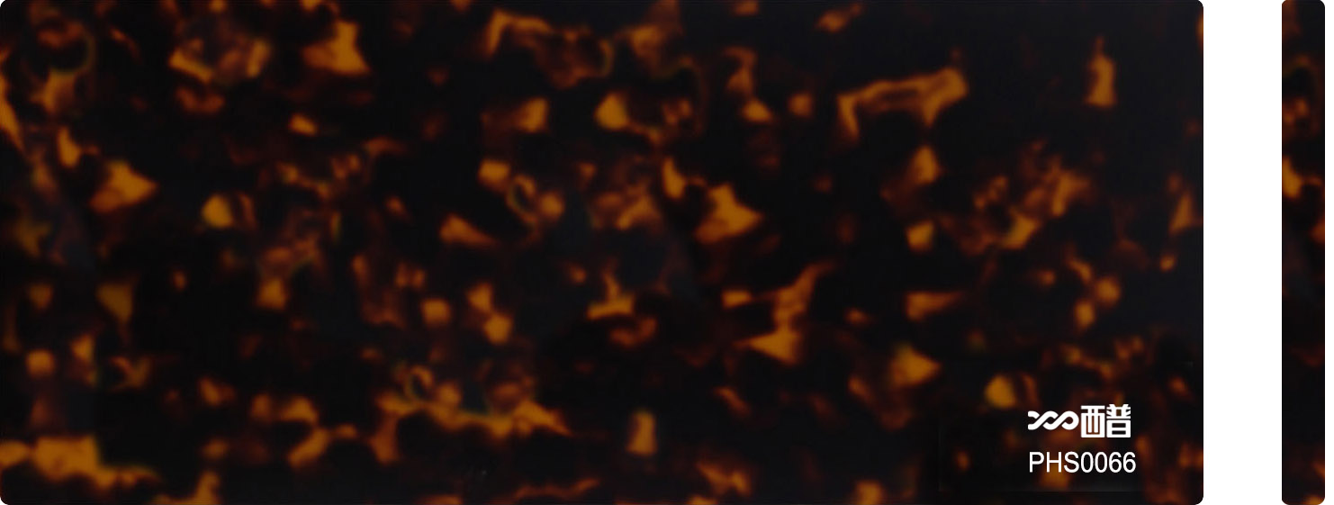 PHS0066