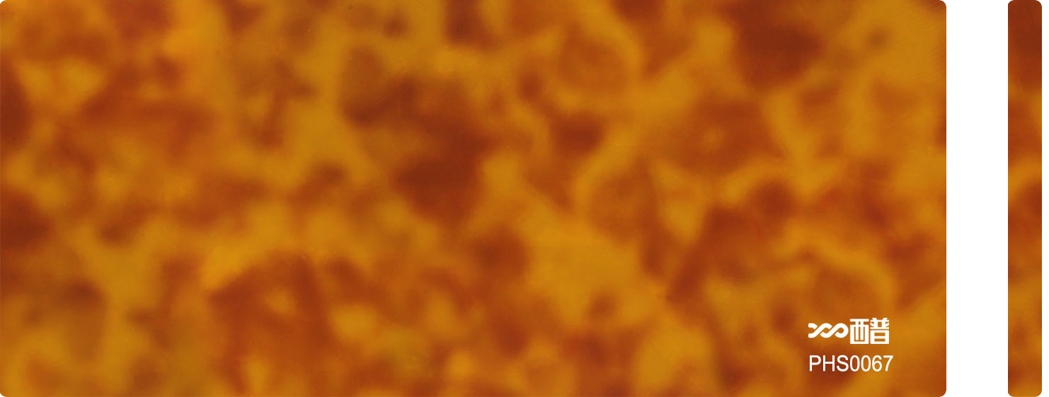 PHS0067