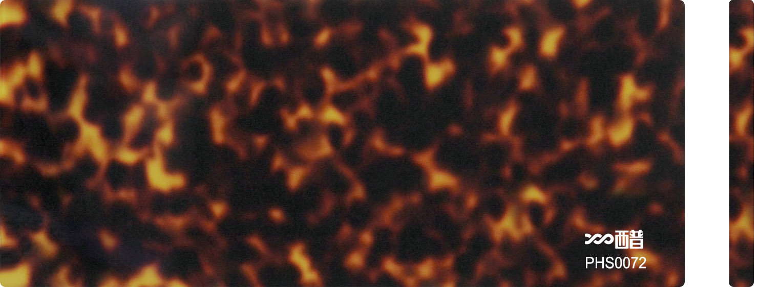 PHS0072
