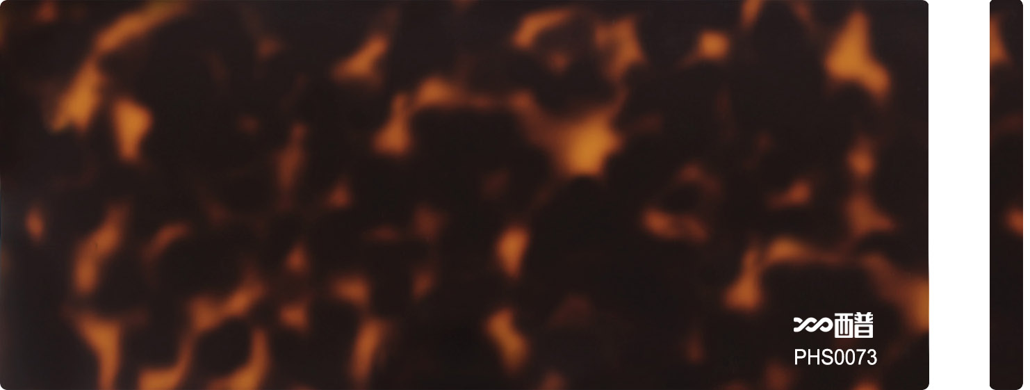 PHS0073