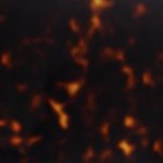 PHS0089