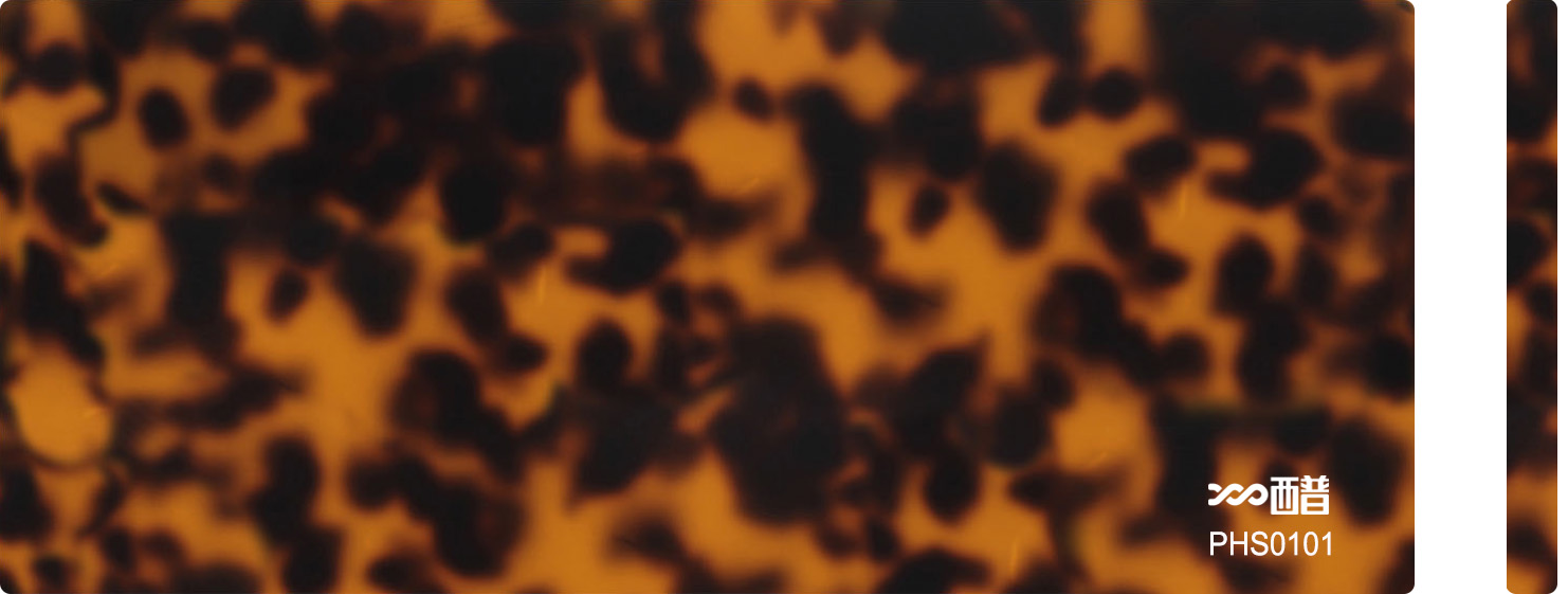PHS0101