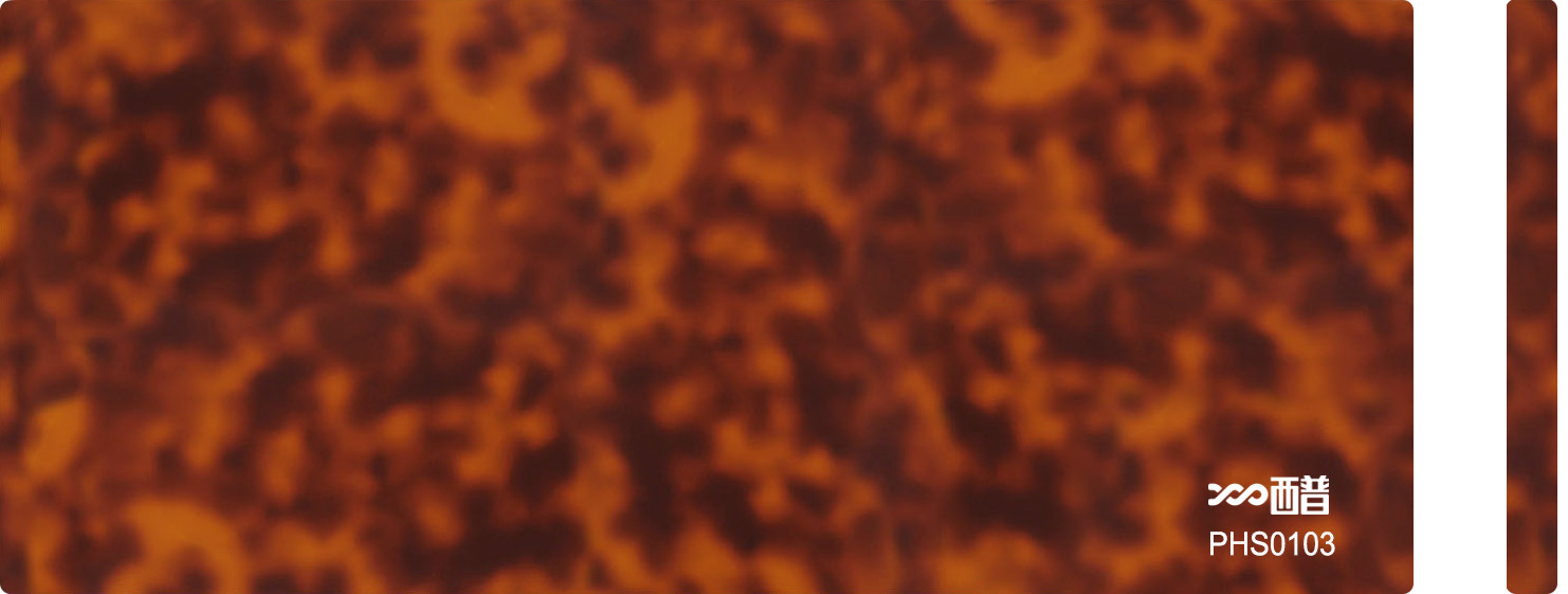 PHS0103