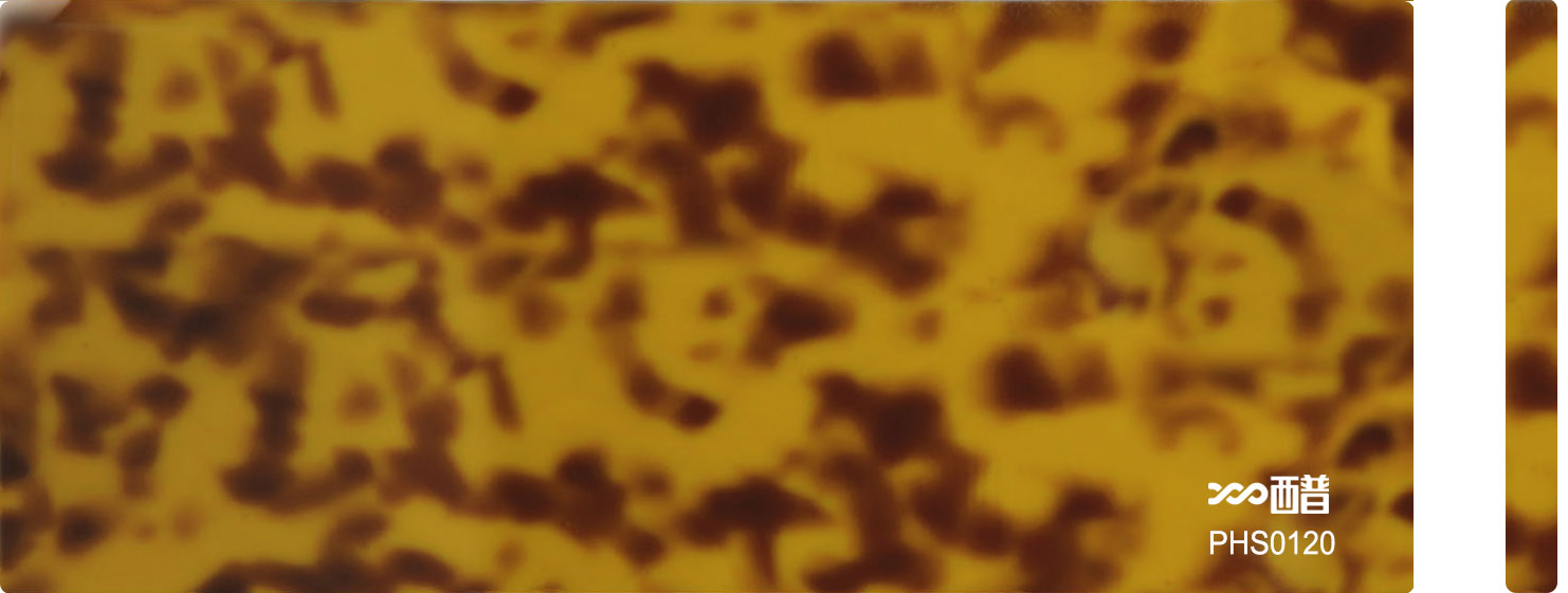 PHS0120