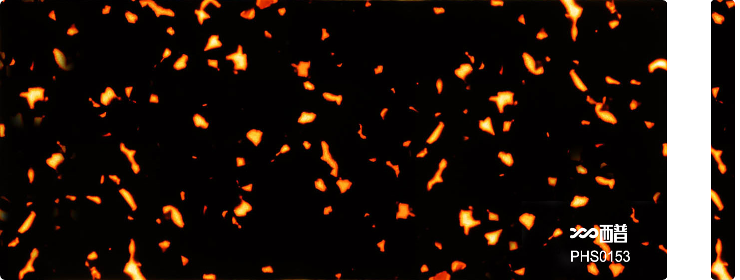 PHS0153