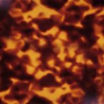 PHS0173