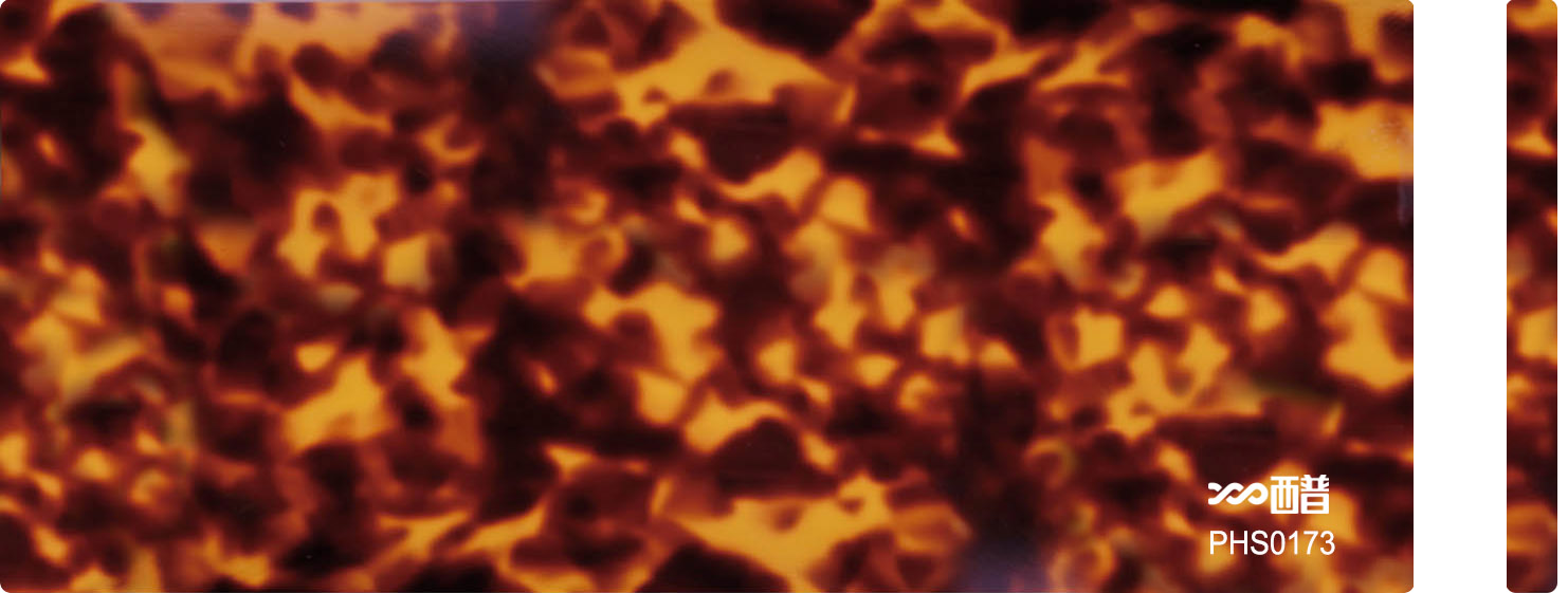 PHS0173