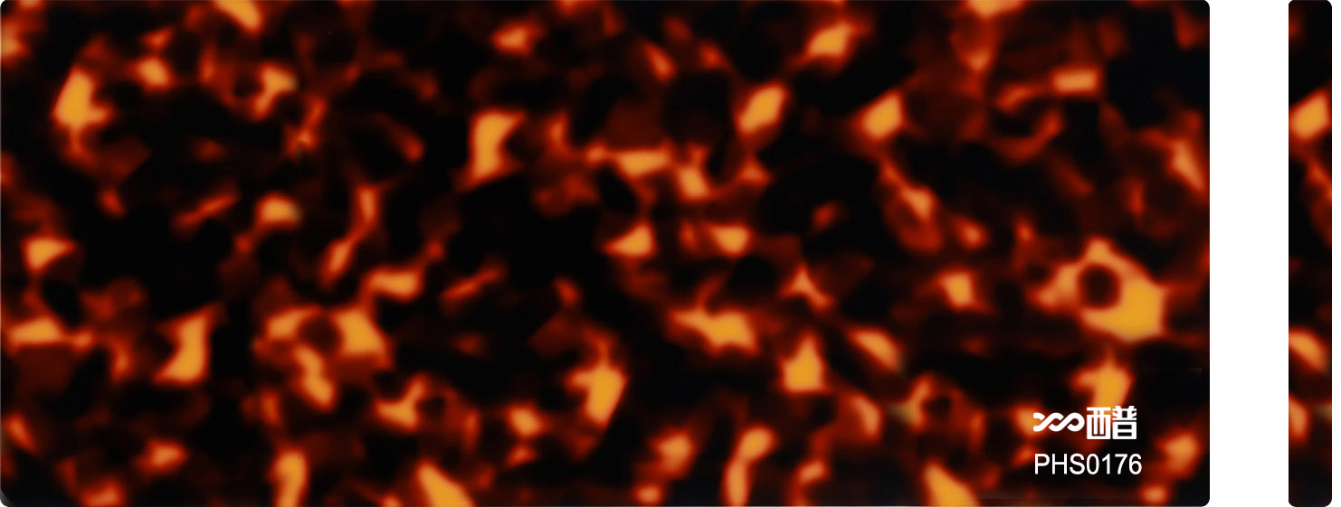 PHS0176