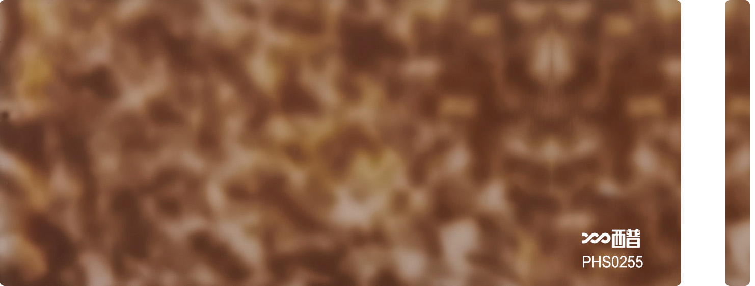 PHS0255