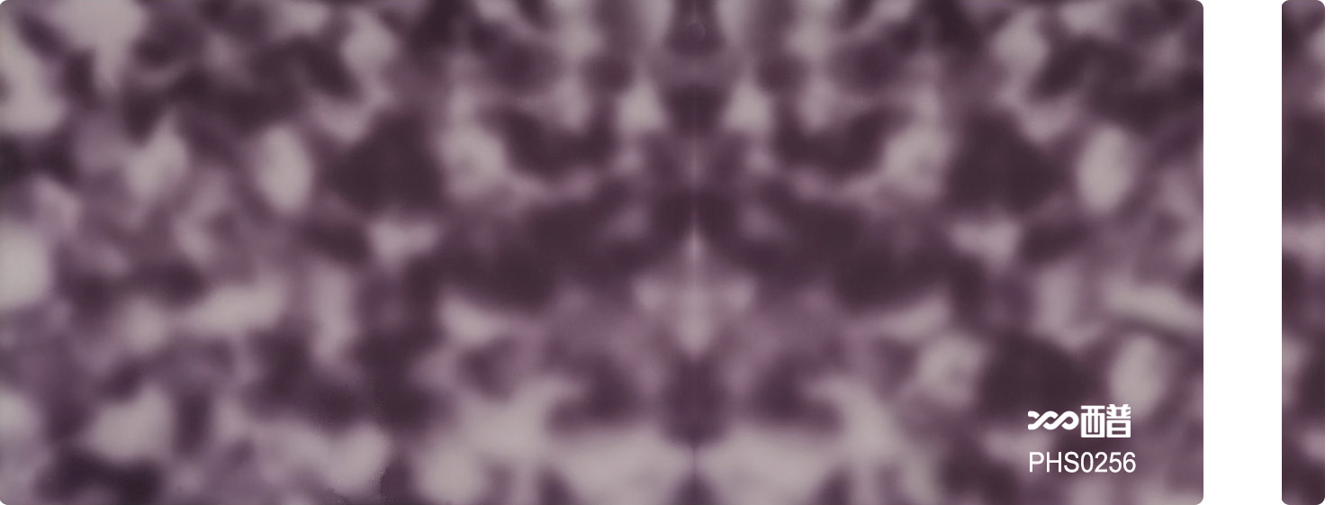 PHS0256