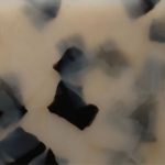 PTN0013