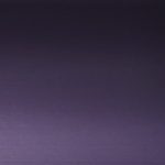 X1N-0208S