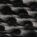 XRN0124