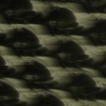 XRN0126