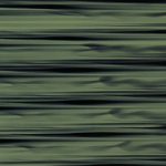 XSN0077