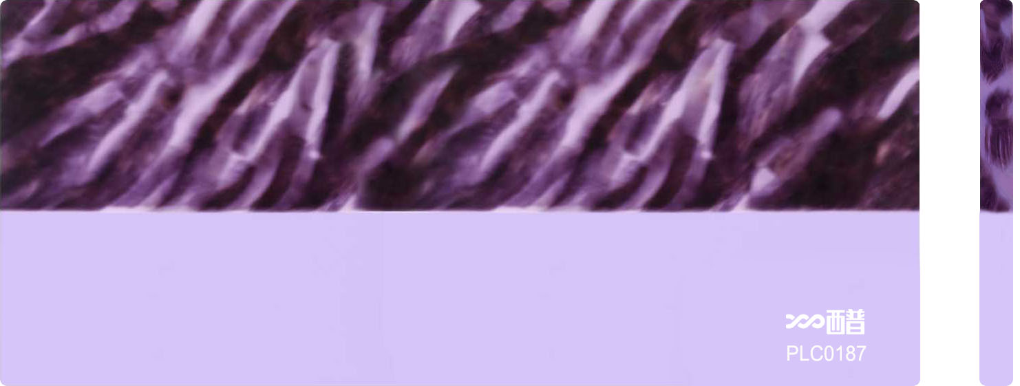PLC0187