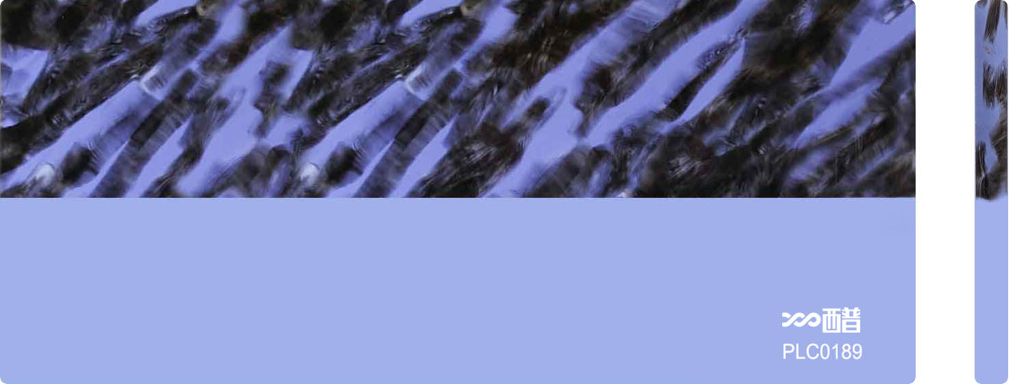 PLC0189