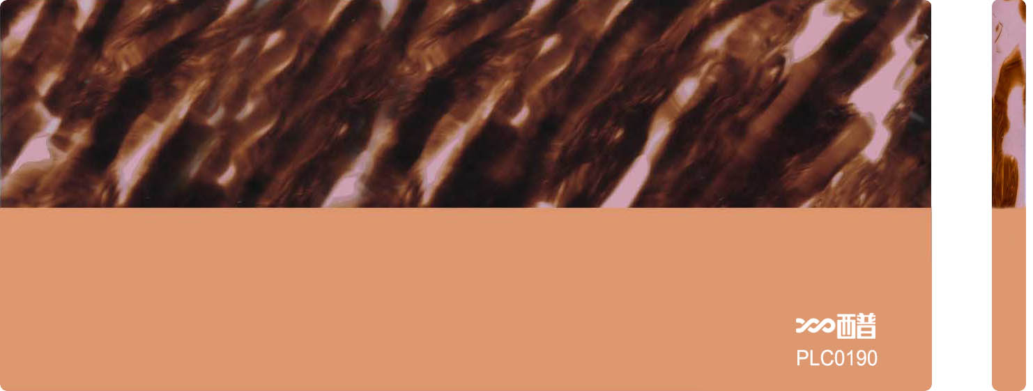 PLC0190