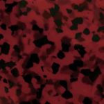 PLT0047