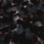 PTC0175