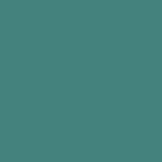X1N-0013