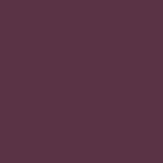 X2N-0038