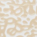 XADN0223