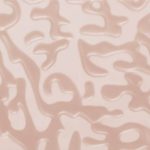 XADN0224