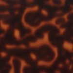 XADN0254
