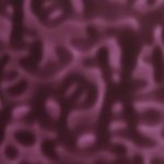 XADN0256