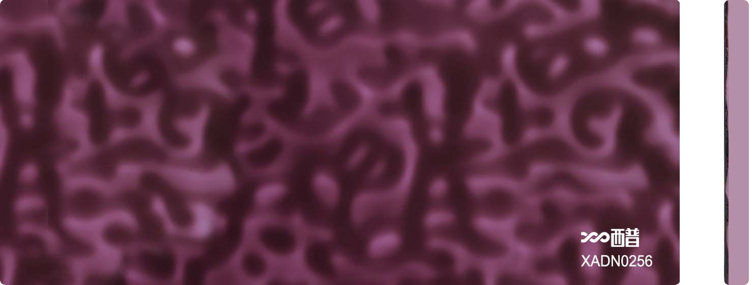 XADN0256