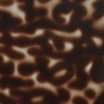 XADN0258