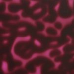 XADN0259