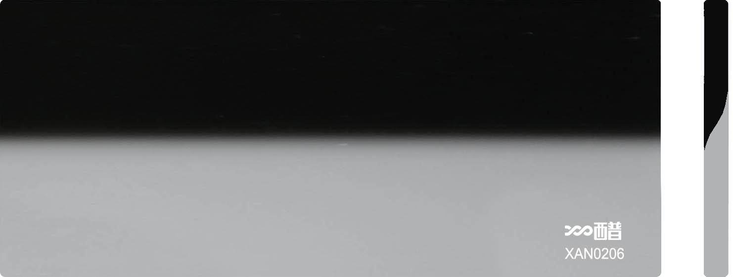 XAN0206