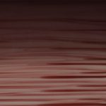 XNN0231