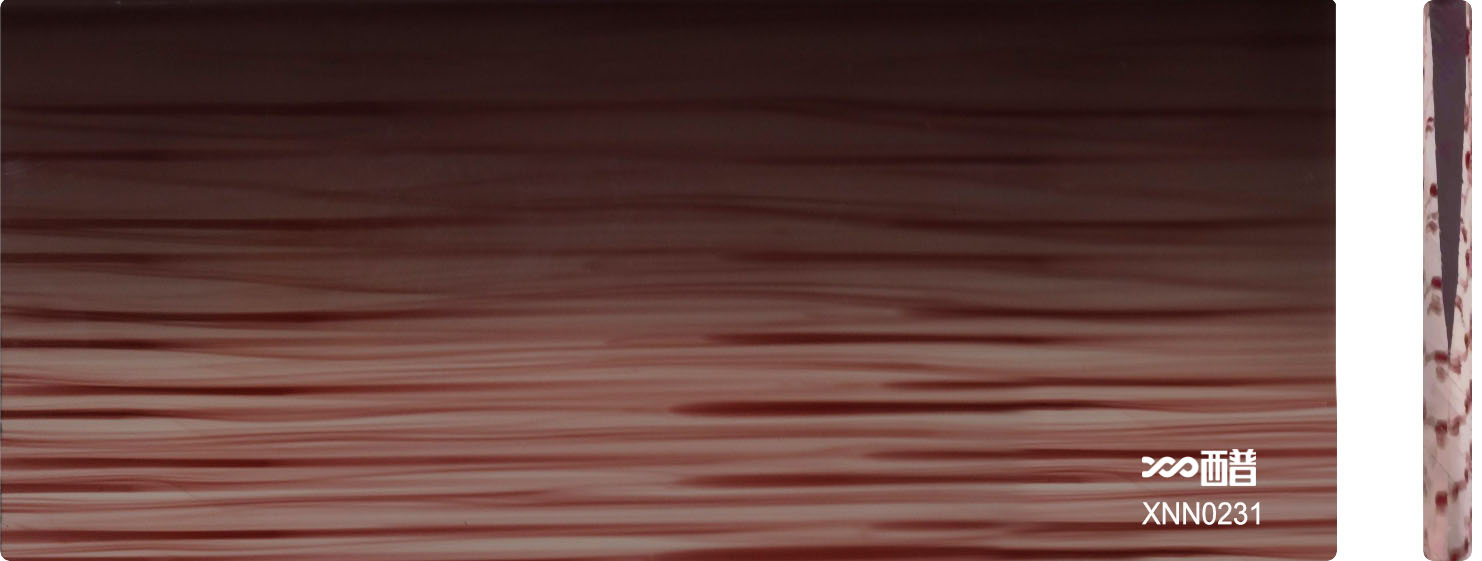 XNN0231
