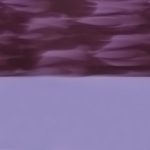 XON0213