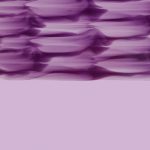 XON0313