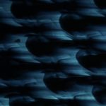 XRN0191