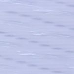 XTNU0038