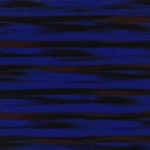 XVN0025